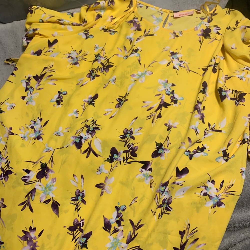 Kohl Evri brand dress size 3x